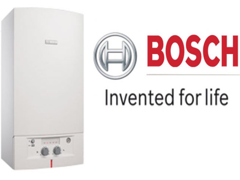 Foreign-introduced brands