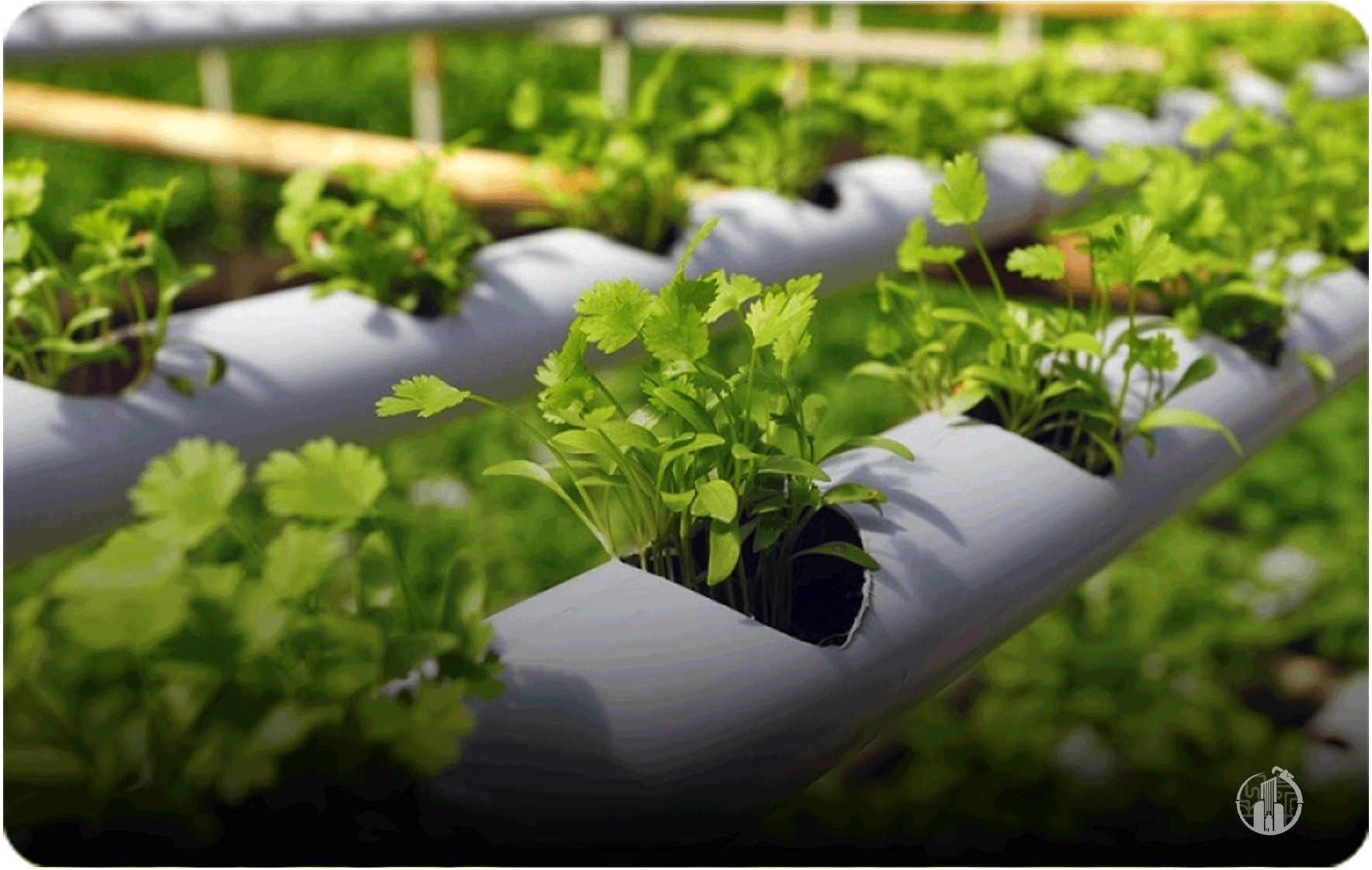 لوله‌های UPVC کشاورزی